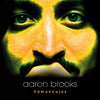 Aaron Brooks LP - Homunculus: