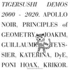 Various Artists LP - Tigersushi Demos 2000-2020: