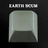 FYI Chris LP - Earth Scum: