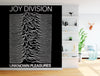 Joy Division - Unknown Pleasures Mural