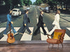 Rock Roll The Beatles - Abbey Road